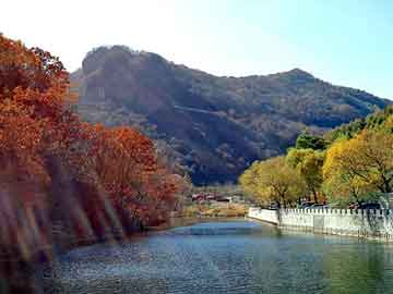 管家婆黑白马报图库，油纸电容式套管